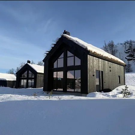 Fjellhytte I Sirdal - Flott Destinasjon Hele Aret *
