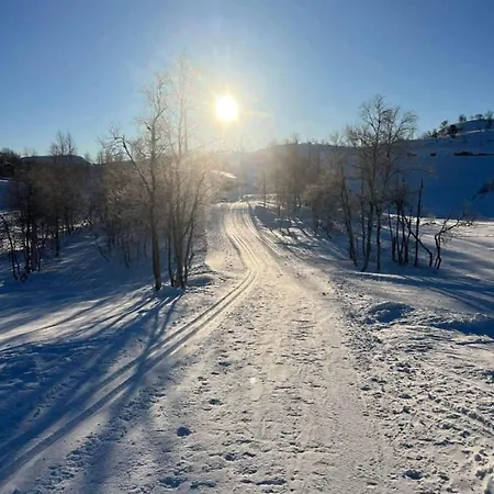 Fjellhytte I Sirdal - Flott Destinasjon Hele Aret *