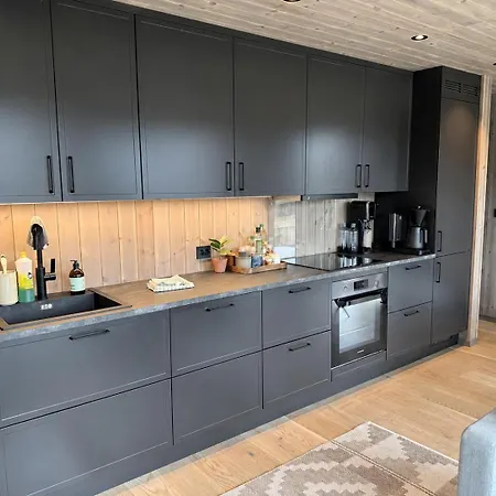 Holiday home Fjellhytte I Sirdal - Flott Destinasjon Hele Aret Dirdal